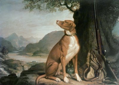 Il cane da caccia preferito di G. M. Johnston in un paesaggio da J. Francis Sartorius